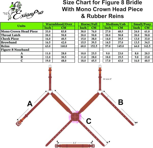 ExionPro English Bridle for Horses Leather Jumping-4