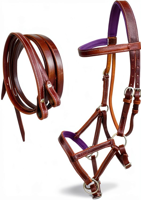 Challenger Horse Western Leather Bridle-0
