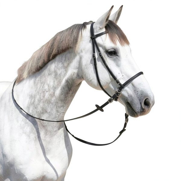 HORZE Leather Bitless Bridle for Horse-1