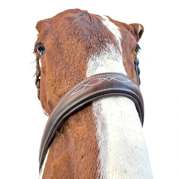 Equinavia Chocolate Brown Leather Bridle-6
