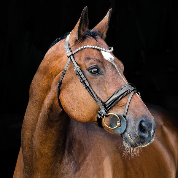 Genuine Leather Horse Bridle Horze Equestrian Bridle-2