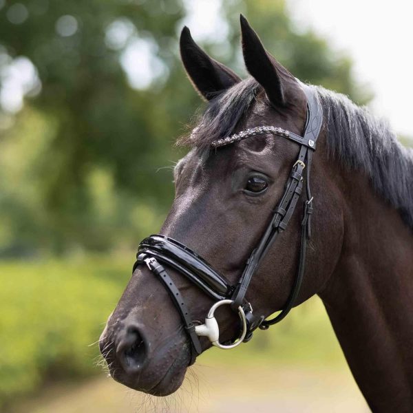 Genuine Leather Horse Bridle Horze Equestrian Bridle-3