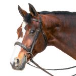 Equinavia Chocolate Brown Leather Bridle-0