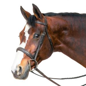 Equinavia Chocolate Brown Leather Bridle-0