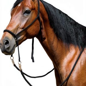 Black Mustang Nylon Equestrian Bridle-0