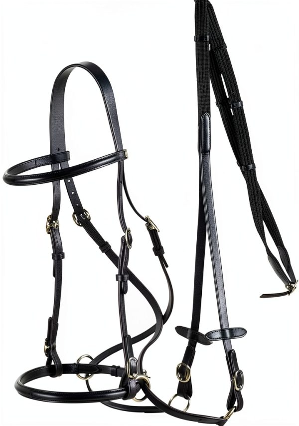 HORZE Leather Bitless Bridle for Horse-0